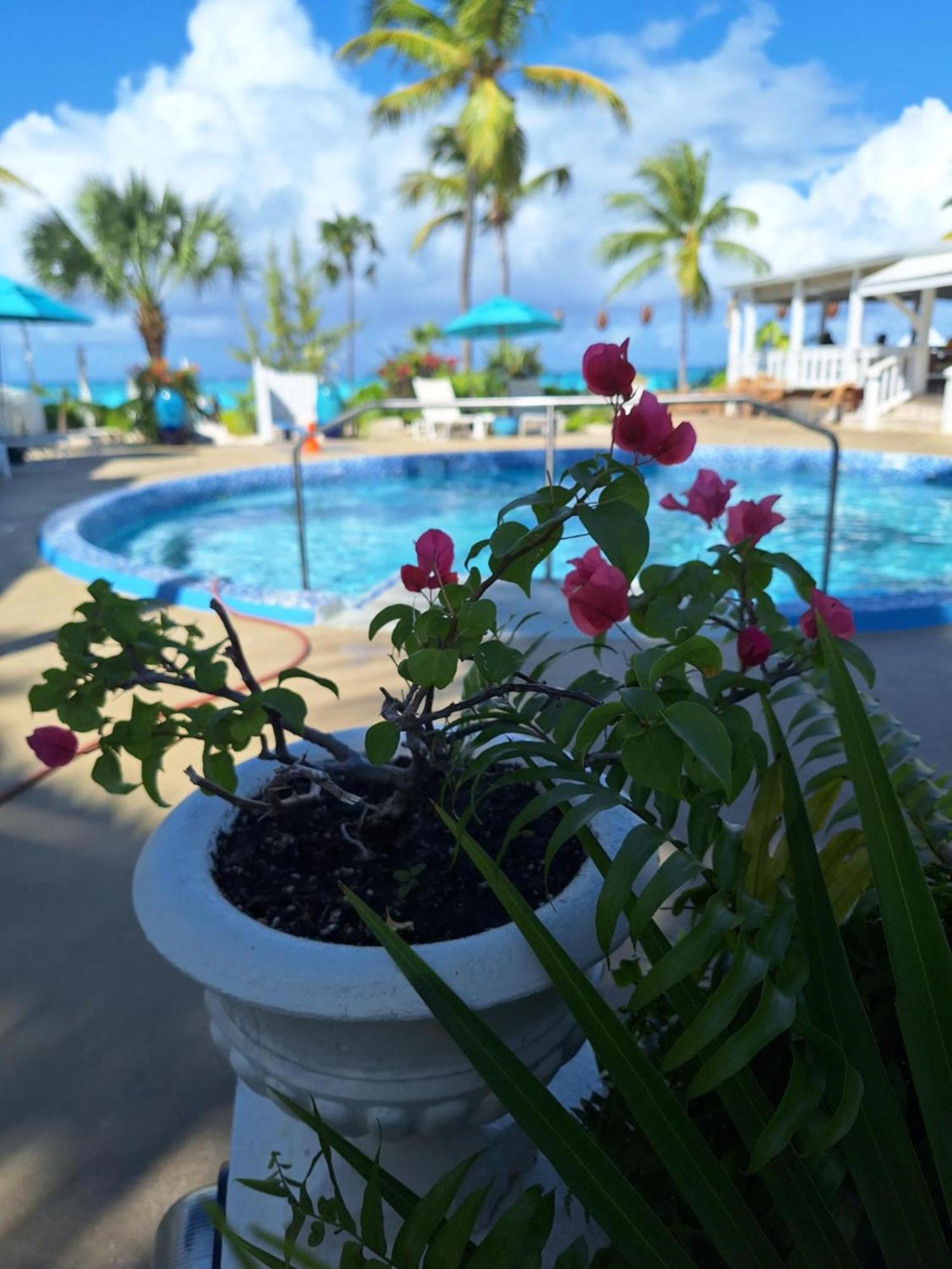 Sibonne Beach Hotel Grace Bay Kültér fotó